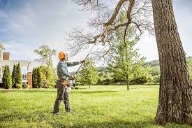 Best Lawn Seeding  in Granger, WA